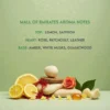 Mall Of Emirates Aroma Oil Fragrance Notes