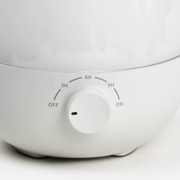 Humidifier controls